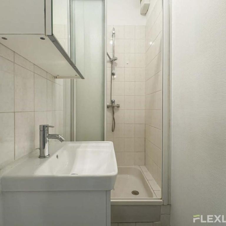 Flexliving - whole flat - Prague - Appartement - 22
