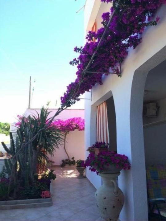 Holiday Valentina - Appartamento Familiare con 1 Camera da Letto - 1