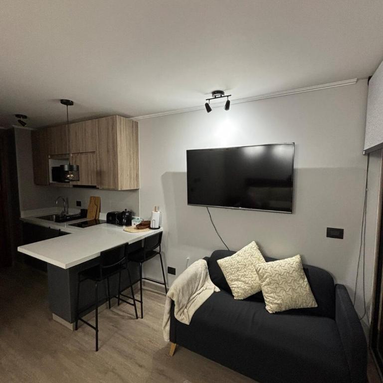 Agradable loft en Pucón - Apartamento de 1 dormitorio - 17