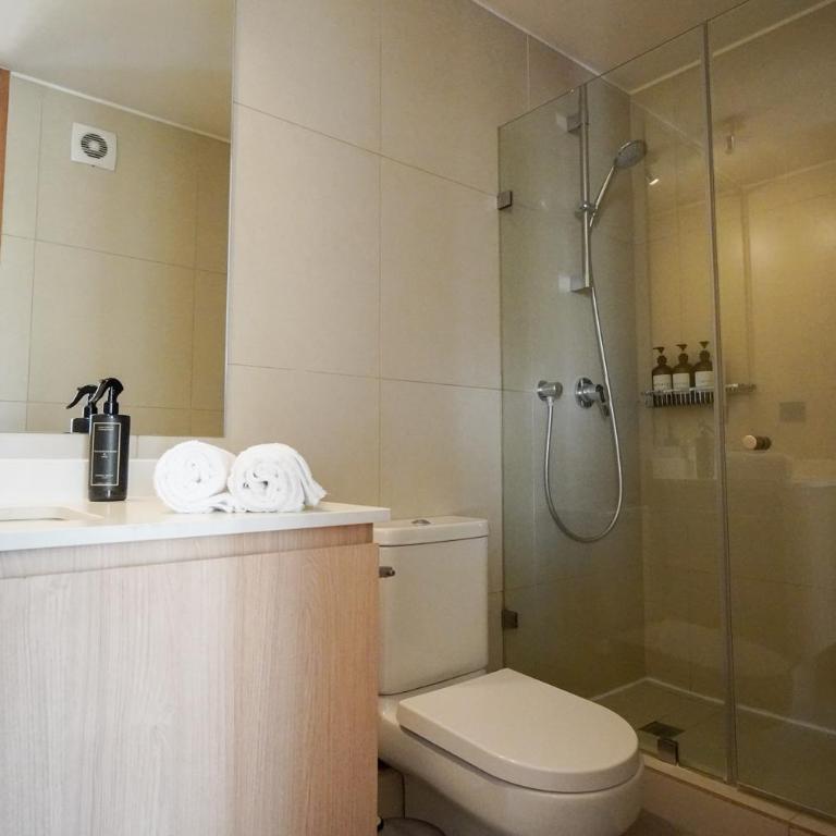 In the best neighborhood in Santiago - Apartamento de 2 dormitorios - 6