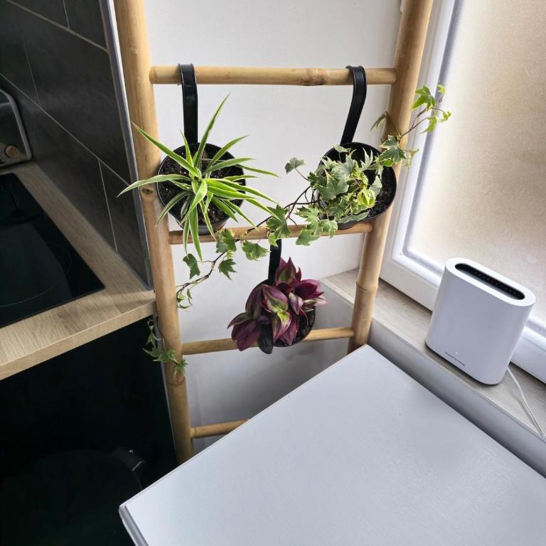 Un pied-à-terre - Appartement 1 Chambre - 7