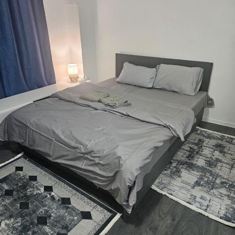 Autokomanda Belgrade Apartment - Apartman sa 1 Spavaćom Sobom - 3