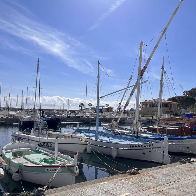 Studio/Cabine à 80m de la plage avec Terrasse, Jardinet et Garage - Cavalaire - FR-1-226B-140 - Appartement - 14