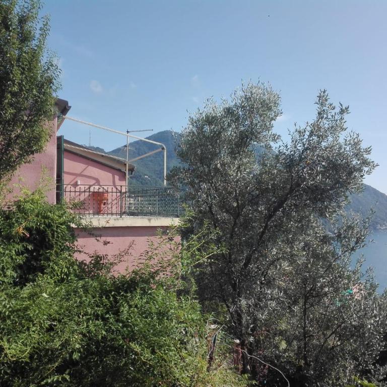 terrazzo sul mare - One-Bedroom Apartment - 7