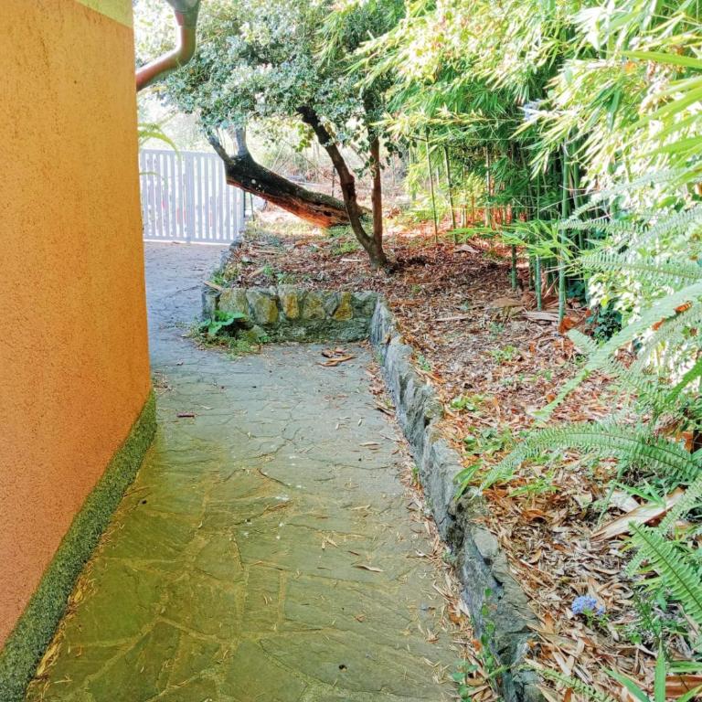 terrazzo sul mare - One-Bedroom Apartment - 12