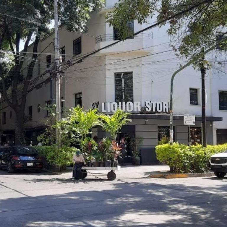 Orizaba, Roma Norte - One-Bedroom Apartment - 2