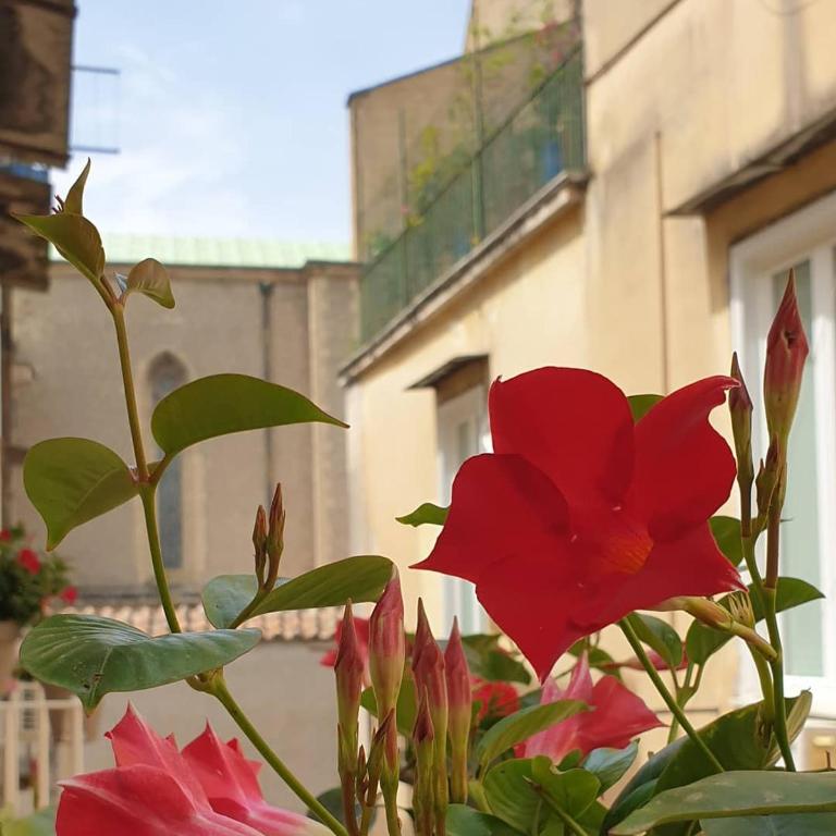 Santa Chiara Inn - Economy Double Room - 3