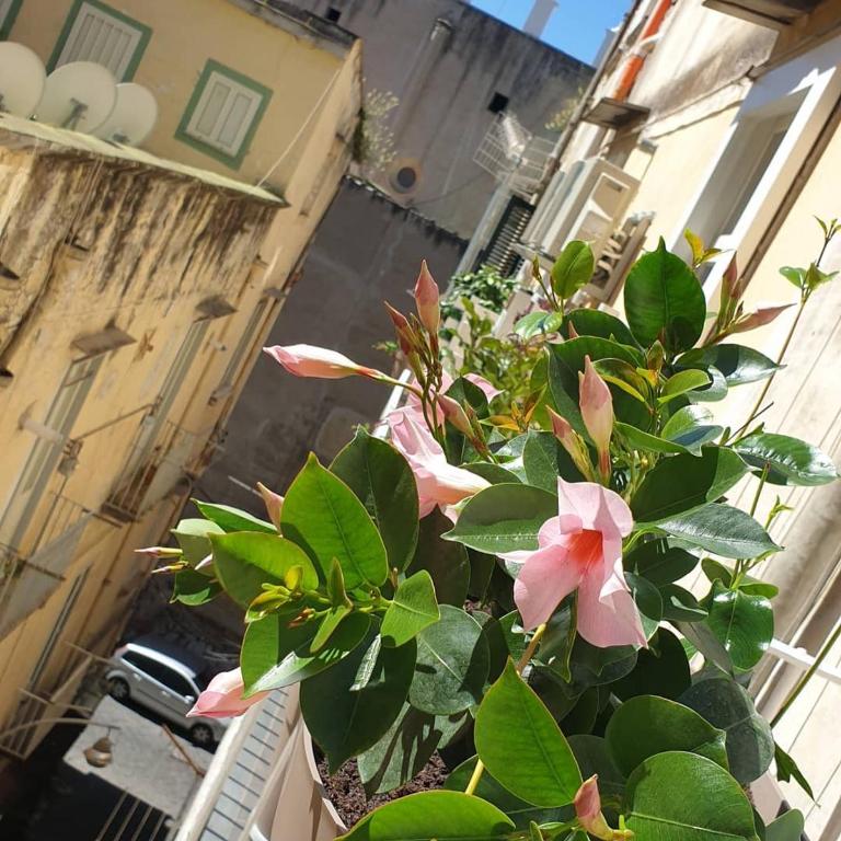 Santa Chiara Inn - Deluxe Double Room - 3