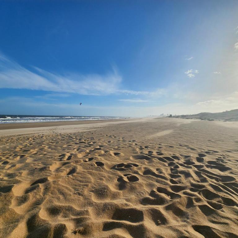 Terrazas de Villa Brava Punta del Este - Two-Bedroom Apartment - 60