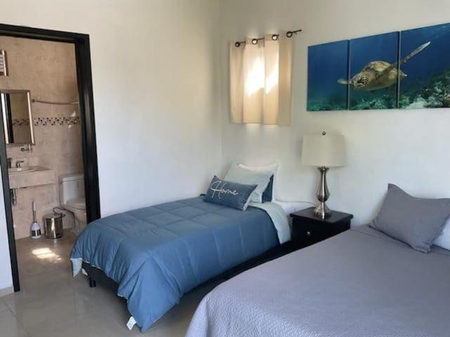Casa Palancar with beautiful swimming pool and private palapa - Casa de 3 dormitorios - 25
