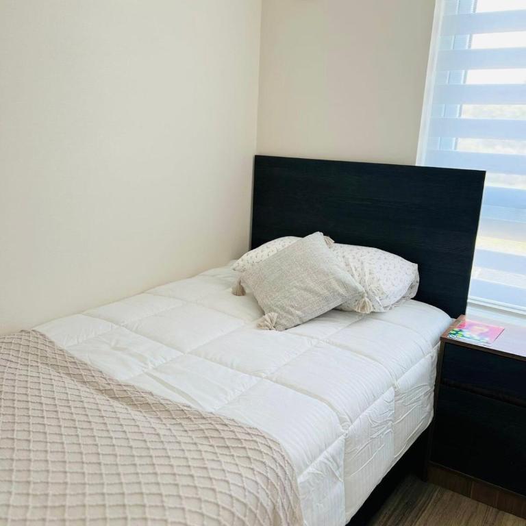 New apartment near Casino Enjoy - Apartamento de 2 dormitorios - 15