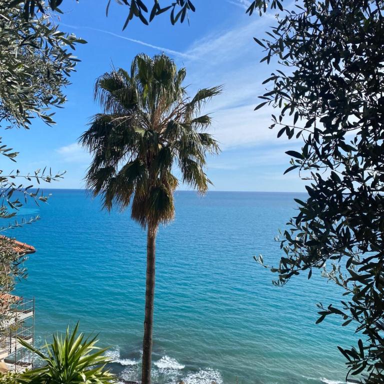 Nido Sul Mare - Appartement 1 Chambre - 25