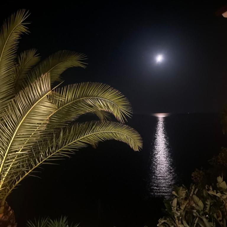 Nido Sul Mare - Appartement 1 Chambre - 27