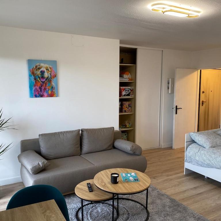 Beautiful double apt family babyfoot 2 parking - Appartement 3 Chambres - 10