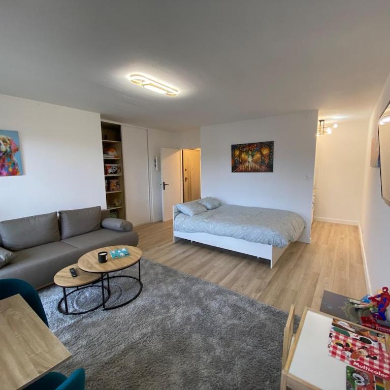 Beautiful double apt family babyfoot 2 parking - Appartement 3 Chambres - 47