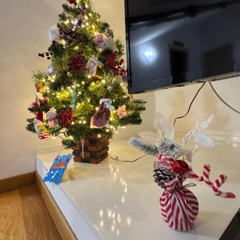 Loren House - Appartamento con 1 Camera da Letto - 13