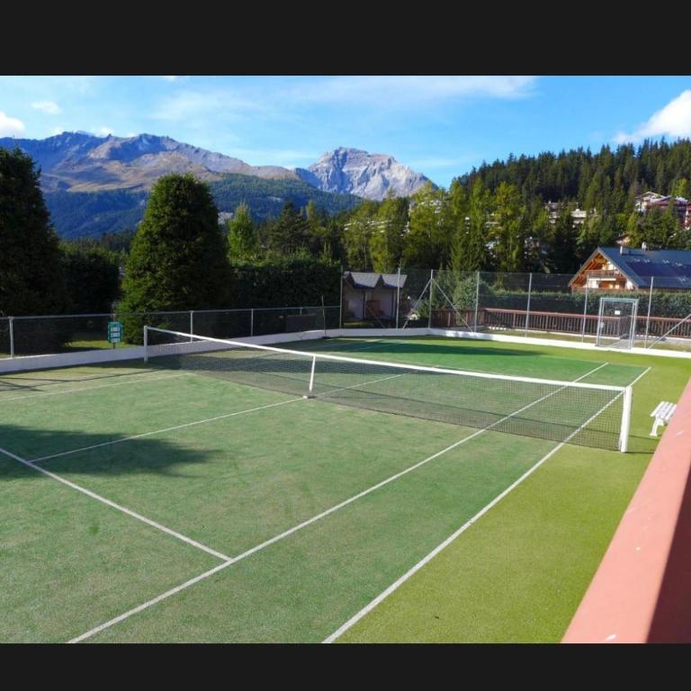 Crans Montana-Snow island - Apartamento de 1 dormitorio - 23