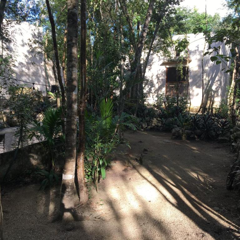 barefoot jungle studios - Deluxe King Studio - 10