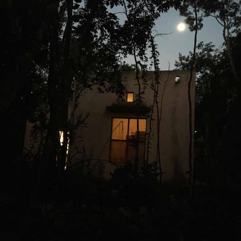 barefoot jungle studios - Deluxe King Studio - 16