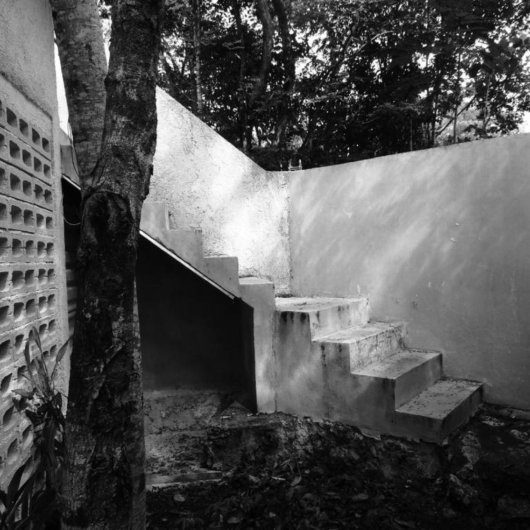 barefoot jungle studios - Deluxe King Studio - 5