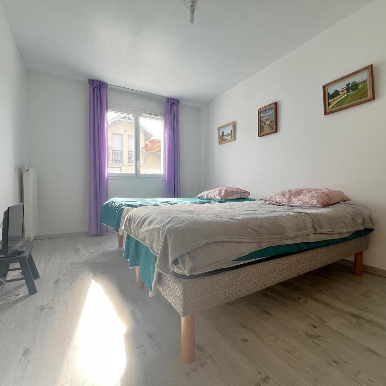 Appartement confortable proche centre-ville, 4 pers, parking inclus - FR-1-474-209 - Appartement - 9