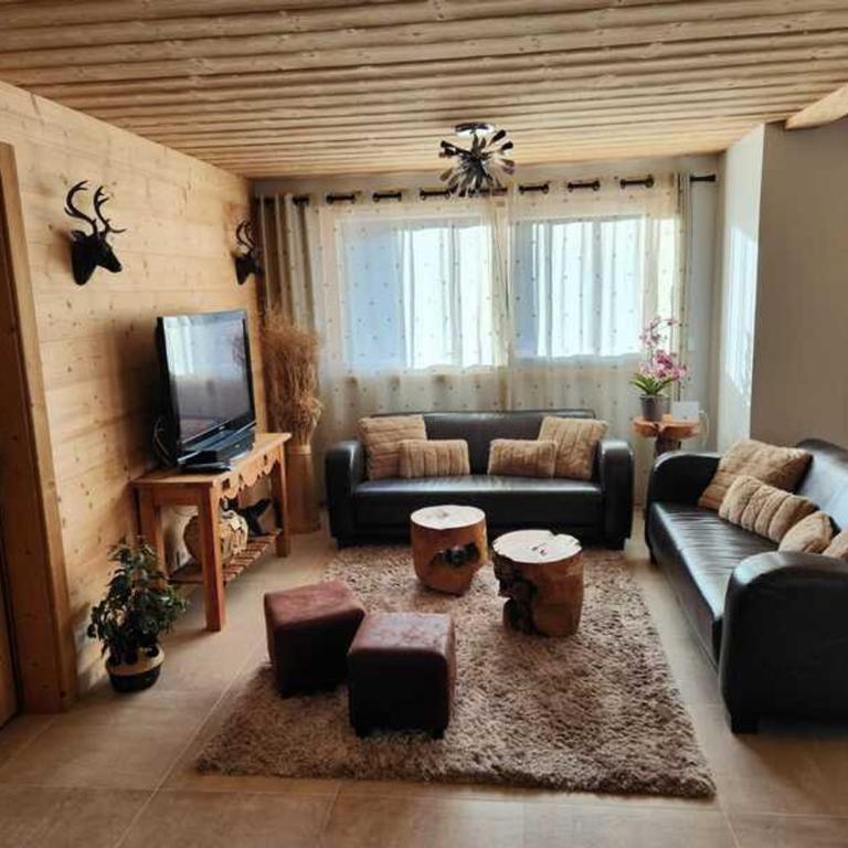 Chalet 3 pièces avec WIFI, parking et terrasse à Châtel - FR-1-676-205 - Appartement - 2