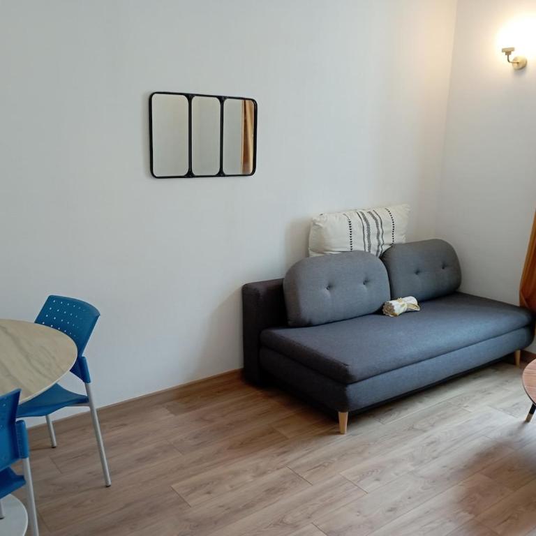 Appartement 2 pièces rénové - Appartamento con 1 Camera da Letto - 5