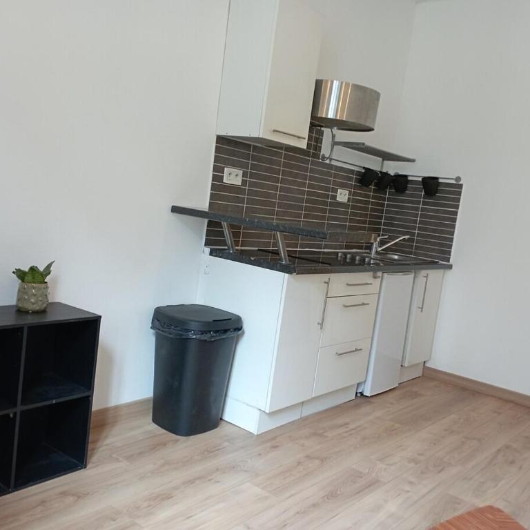 Appartement 2 pièces rénové - Appartamento con 1 Camera da Letto - 7