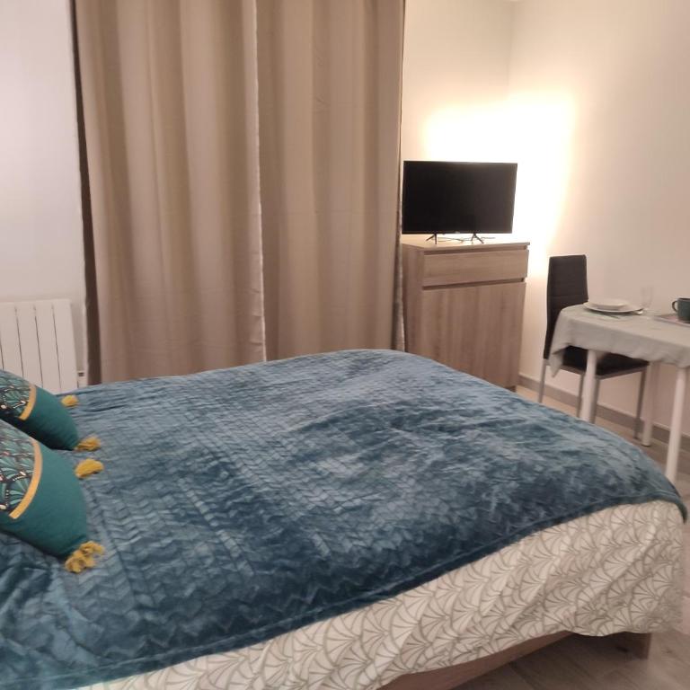 studio cosy la Dacquoise centre-ville internet haut-débit - Appartamento con 1 Camera da Letto - 6