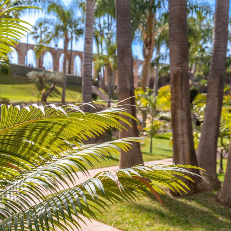 Las Palmas 20c - Oasis Properties - Apartamento con vistas al mar - 24