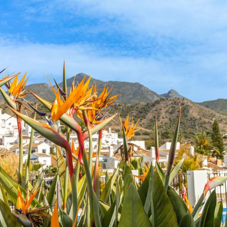 Las Palmas 20c - Oasis Properties - Apartamento con vistas al mar - 26