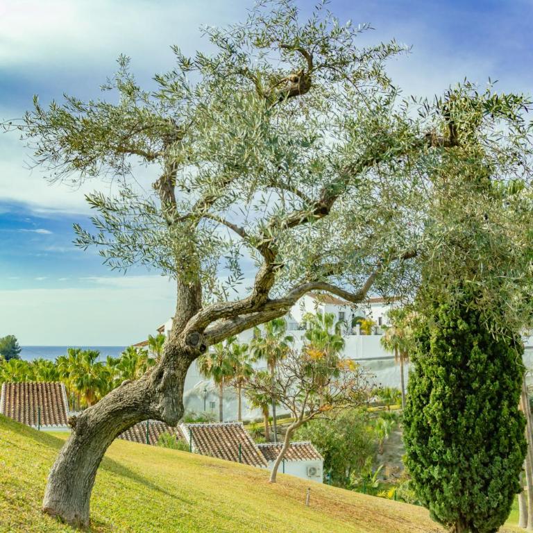 Las Palmas 20c - Oasis Properties - Apartamento con vistas al mar - 32