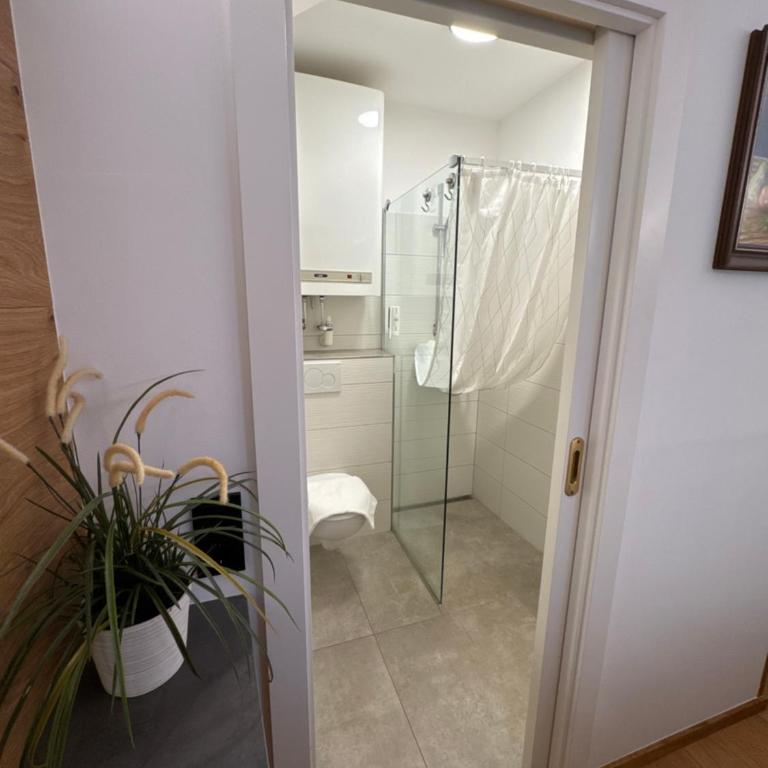 Guesthouse Mozart - Apartment House - Doppelzimmer mit eigenem Bad - 3