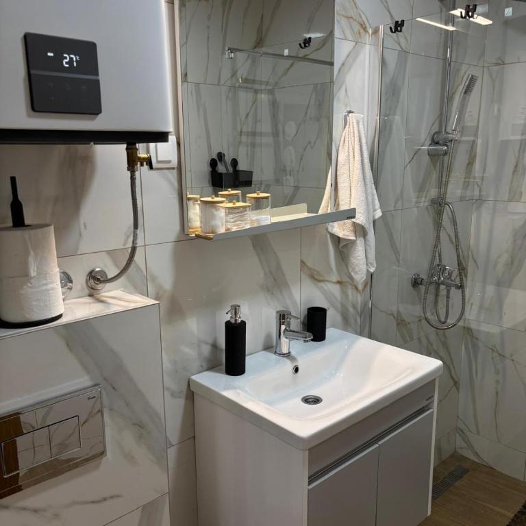 Tanasković Home Zlatibor - Apartman sa 1 Spavaćom Sobom, Balkonom i Pogledom na Planinu - 15