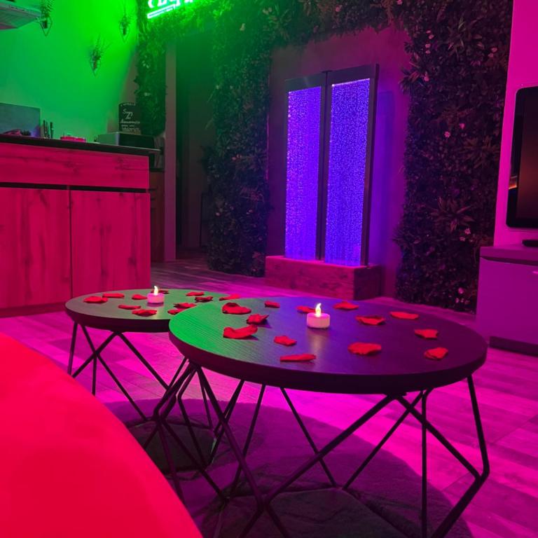 L'appar-T loft avec Spa privatif et jardin - Appartement 1 Chambre - 4