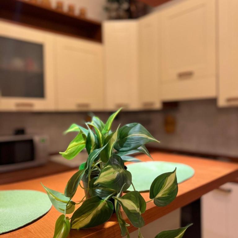 ARTPA Rome Apartments Gianicolo, Roma - Two-Bedroom Apartment with Terrace - 11