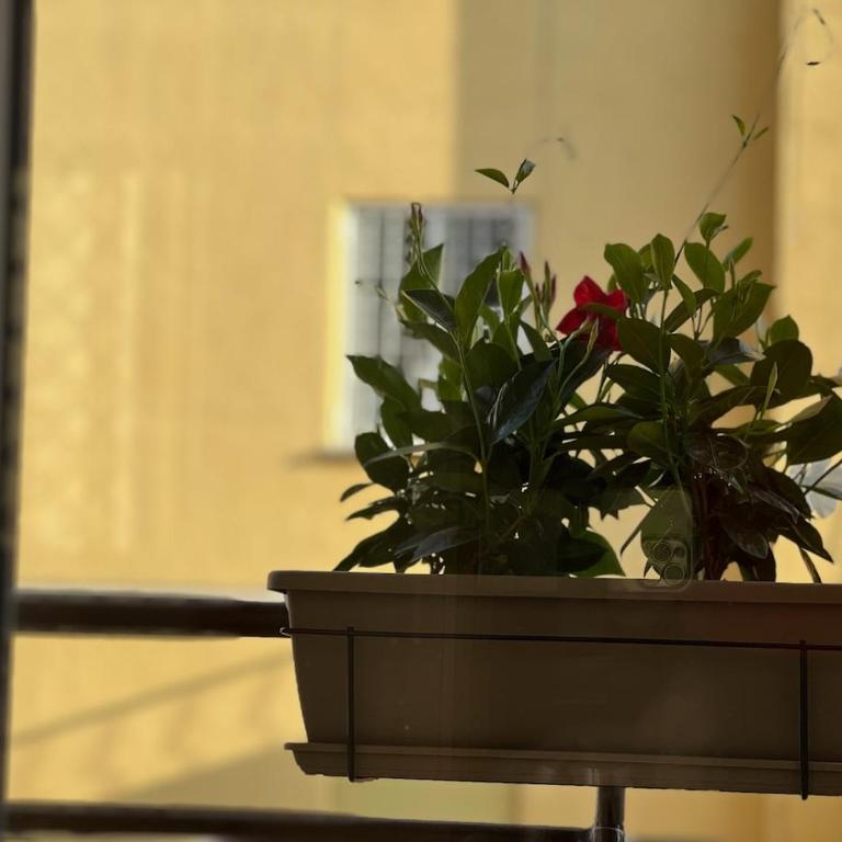 ARTPA Rome Apartments Gianicolo, Roma - Two-Bedroom Apartment with Terrace - 24