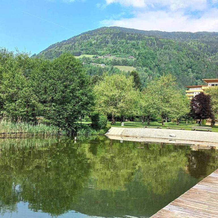RENATE Haus KMB Seeappartement am Ossiacher See, Hallenbad, Skiarena Gerlitzen - Apartment mit 1 Schlafzimmer - 19