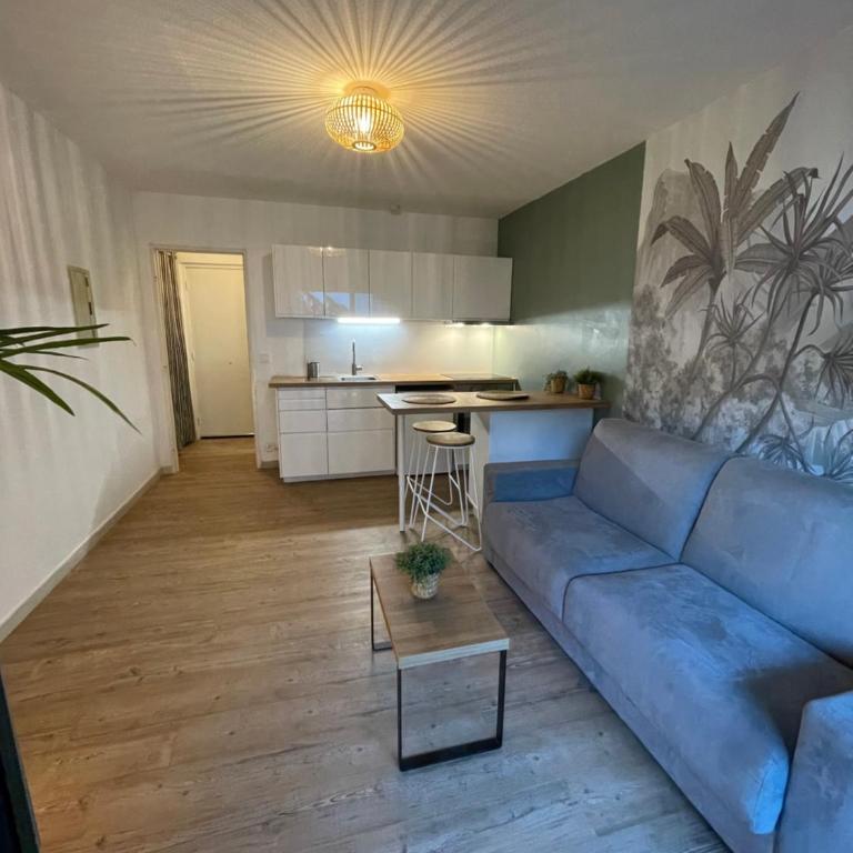 Studio carré d’or Juan les Pins - Appartement 1 Chambre - 12