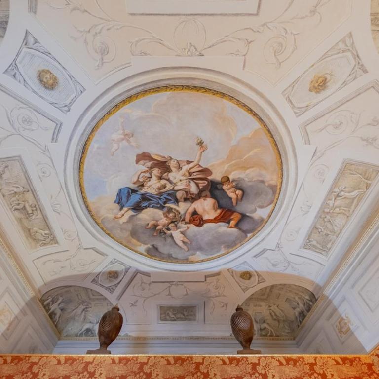 Palazzo Bartolommei Dimora Storica Centralissima - Appartamento Superior - 42