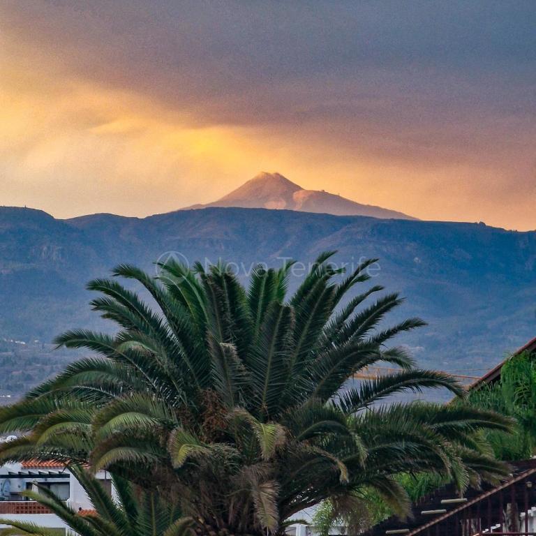 Pearl of Amarilla Golf - Luxury 3 Bedroom Villa with heated pool & ocean view - Villa de 3 dormitorios - 58