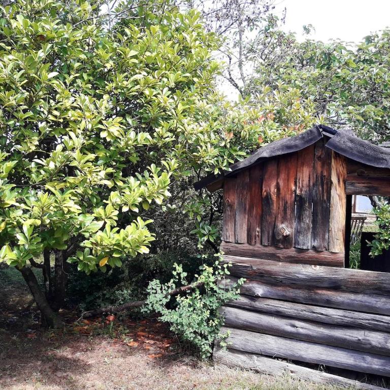 Tu casa de campo en Jaca - Casa de 4 dormitorios - 39