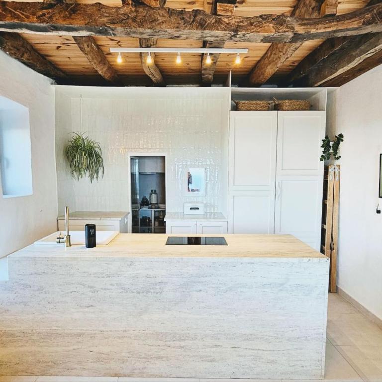 Stone Villa at the Vrelo - Four-Bedroom House - 16
