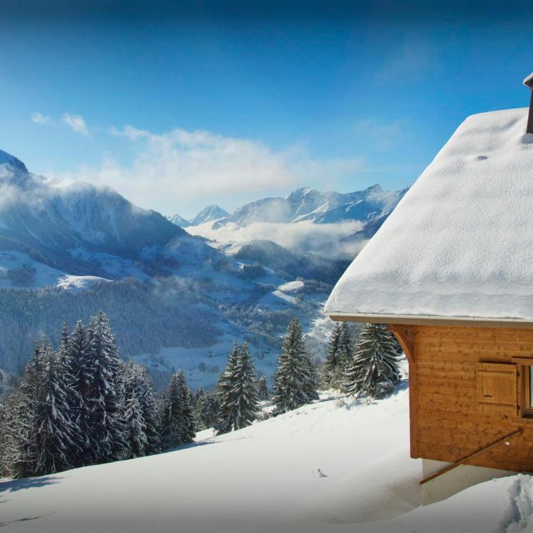 Chalet de Paul et Marie - OVO Network - Chalet 4 Chambres - 4