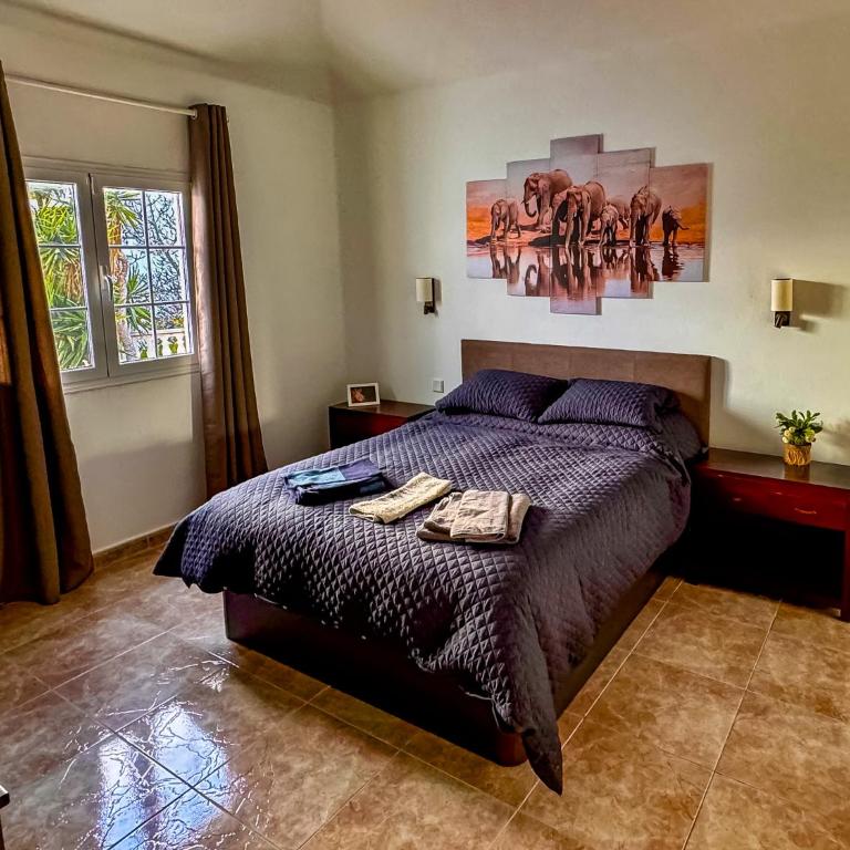 Villa Marcasita - Villa - 14