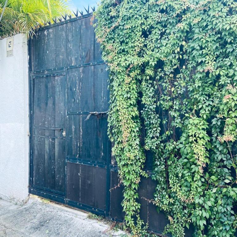 Charming very quiet Center Renewed - One-Bedroom Apartment - 13