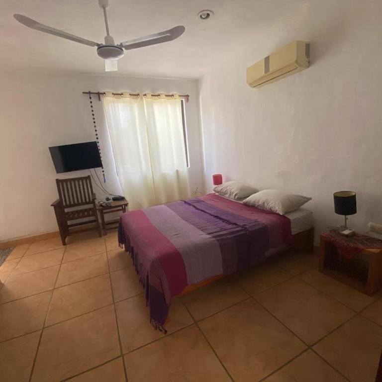 Charming very quiet Center Renewed - One-Bedroom Apartment - 14