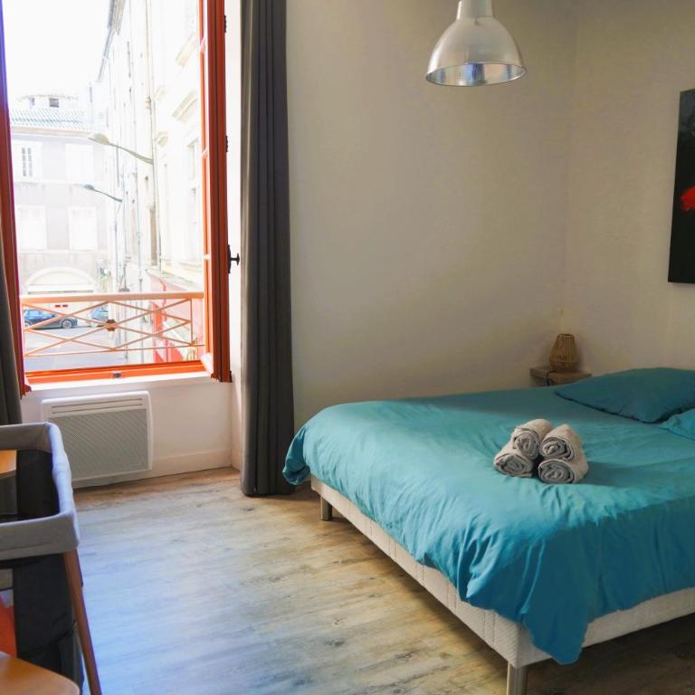 La magie de Carnot Meublé de tourisme 3 étoiles - Apartment with City View - 33