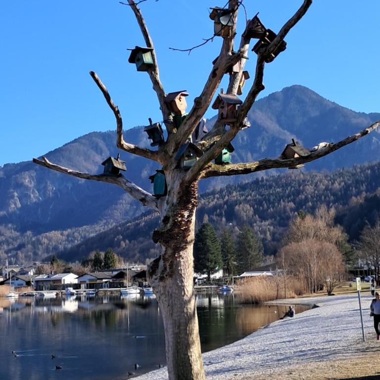 Caldonazzo Domus Lake - Vacation Home - 22