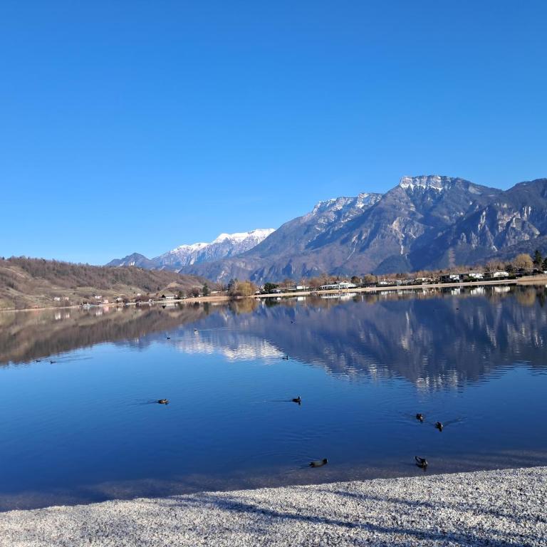 Caldonazzo Domus Lake - Vacation Home - 24